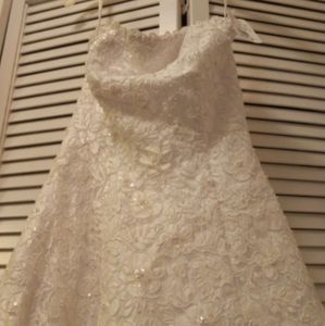 David's Bridal Wedding Dress, Slip & Veil